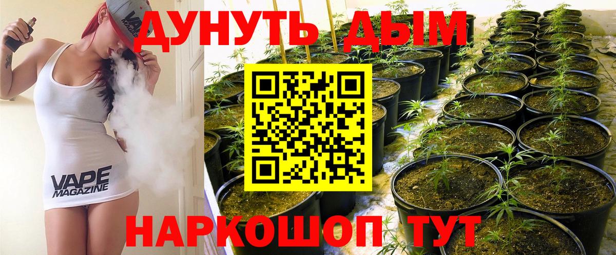Конопля сатива Карталы